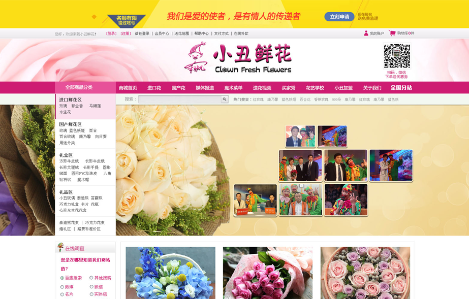 網站建設案例效果圖