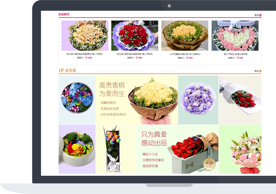 網站建設案例效果圖