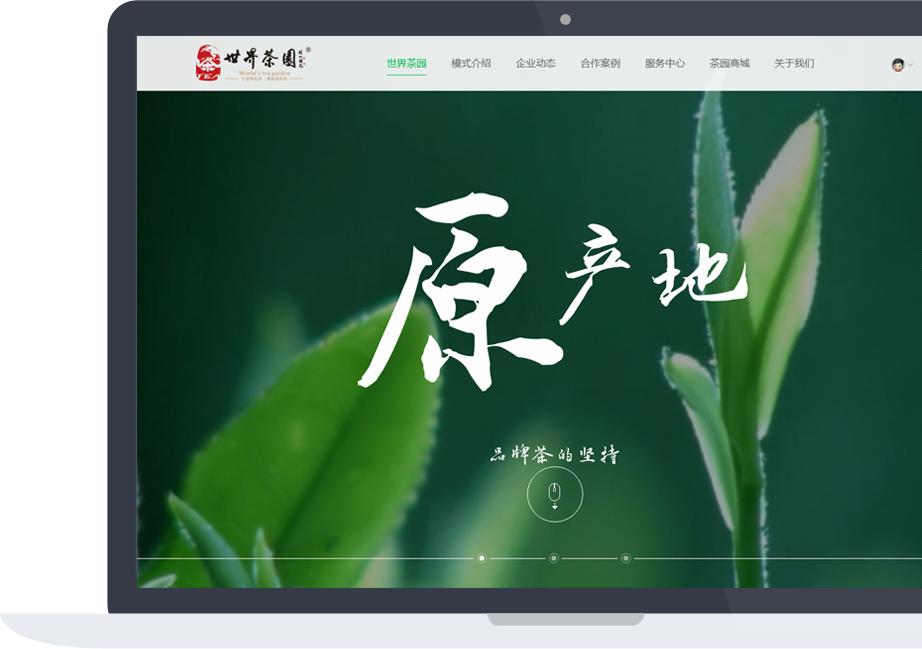 網站建設案例效果圖