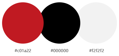 網站建設案例效果圖